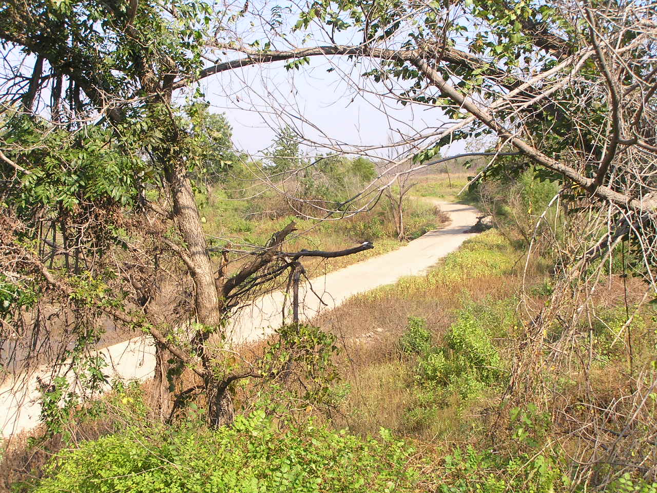 Old Highway 1